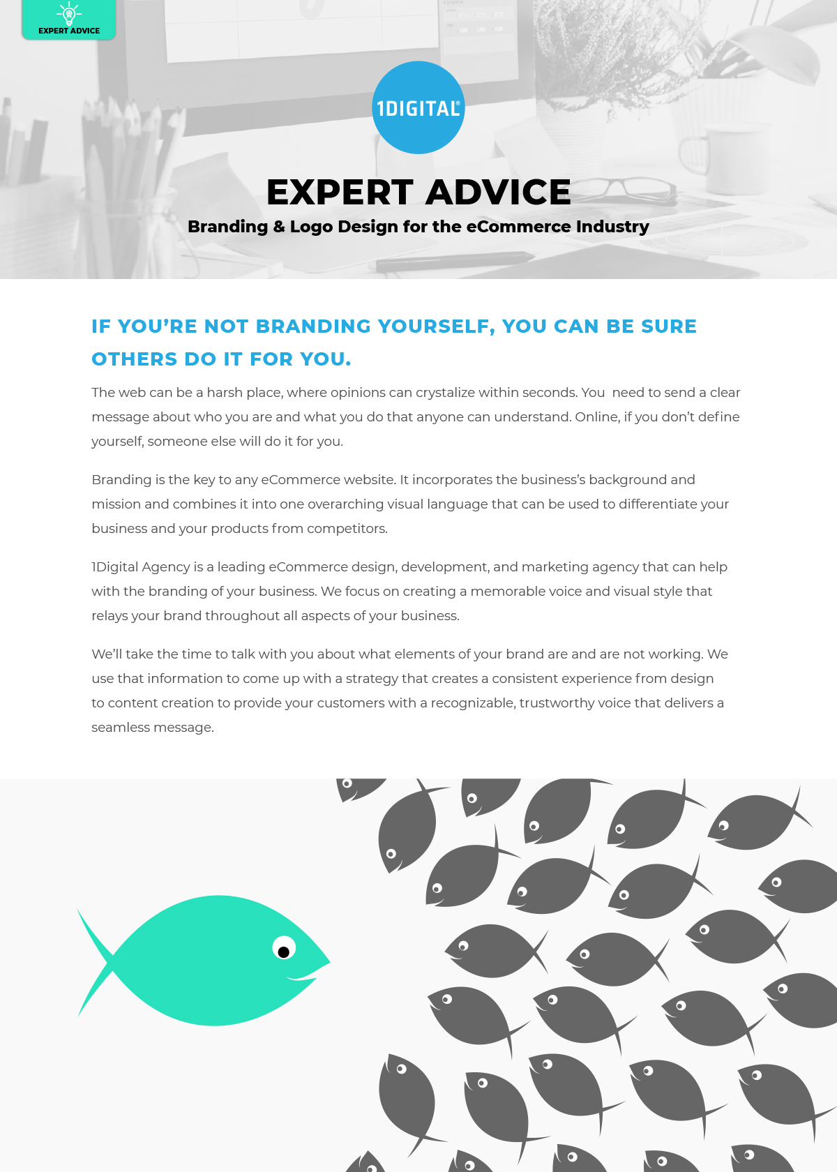 Branding & Logo Design for the eCommerce Industry